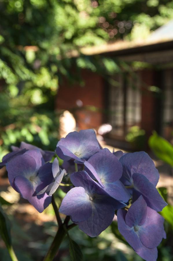 Von Deska Townhouses - Ivy House ハンブルク エクステリア 写真